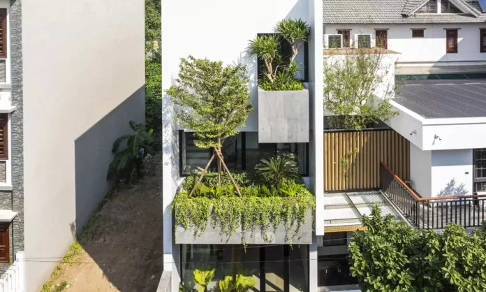 Giải Mã Chống Nóng Nhà Hướng Tây: Cây Xanh Hay Lam Chắn Nắng – Lựa Chọn Nào Tối Ưu?