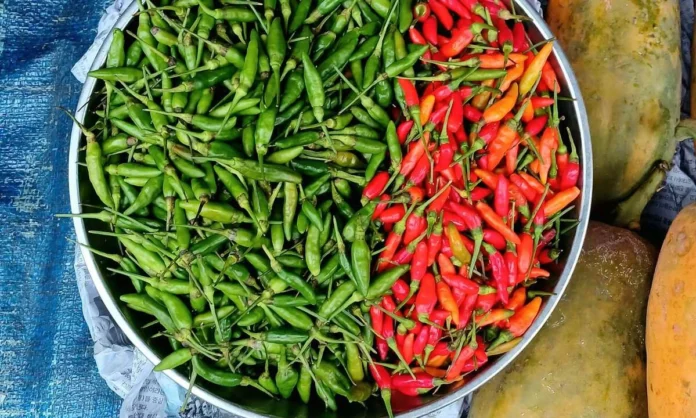 Xuất khẩu ớt Việt Nam tăng 115%: Động lực từ thị trường châu Á